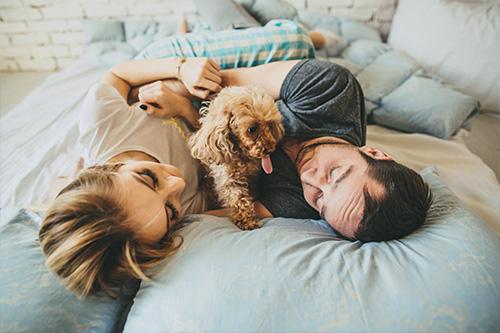Cuanto cuesta una alarma para casa Cuanto cuesta una alarma para casa