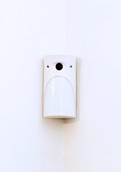 detector detector
