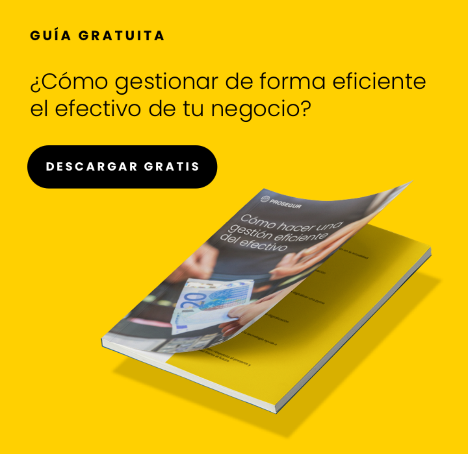 ¿Cuánto es lo máximo que se puede pagar en efectivo? Gestión de