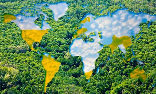 Prosegur y Prosegur Cash lanzan proyecto solar en India para reforzar su compromiso ambiental 