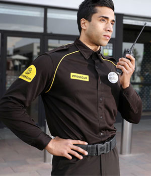 seguridad integral