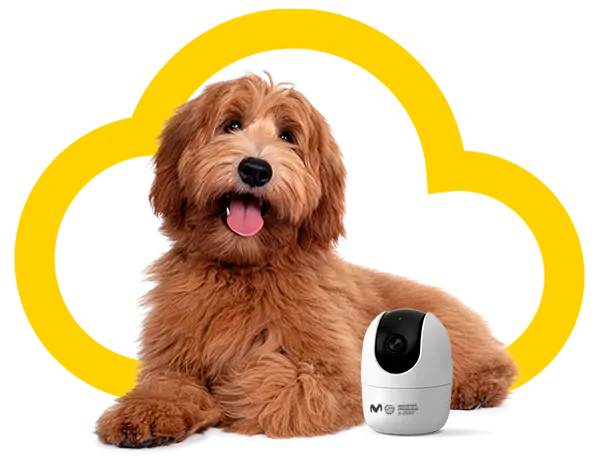 Camara movil para mascotas Camara movil con Reconocimiento Inteligente para mascotas
