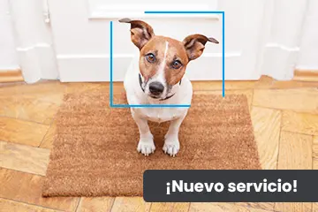 Alarma compatible con mascotas Alarma compatible con mascotas