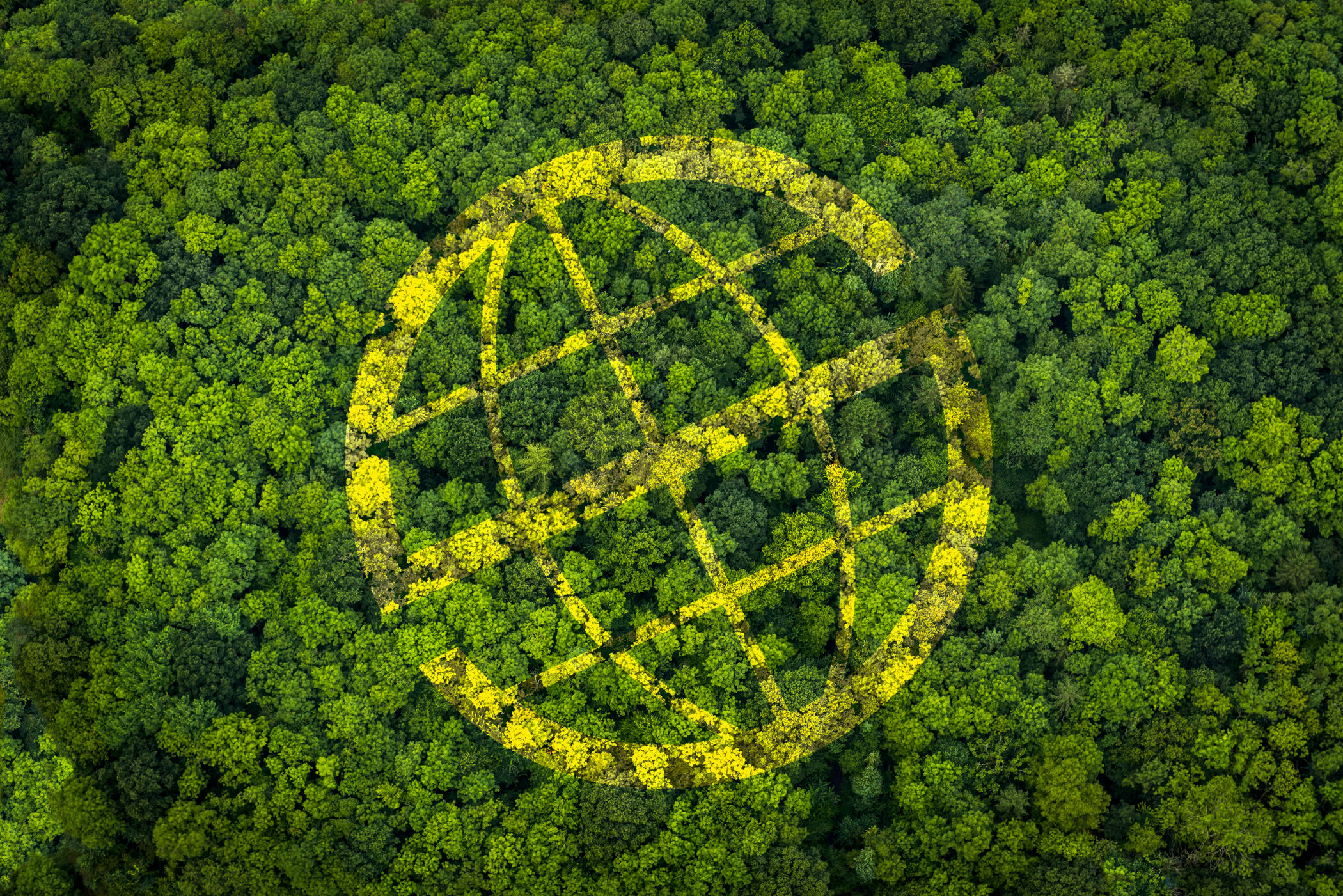Prosegur y Prosegur Cash reafirman su compromiso con el medioambiente con un nuevo proyecto de compensación de emisiones en Brasil Prosegur y Prosegur Cash reafirman su compromiso con el medioambiente con un nuevo proyecto de compensación de emisiones en Brasil