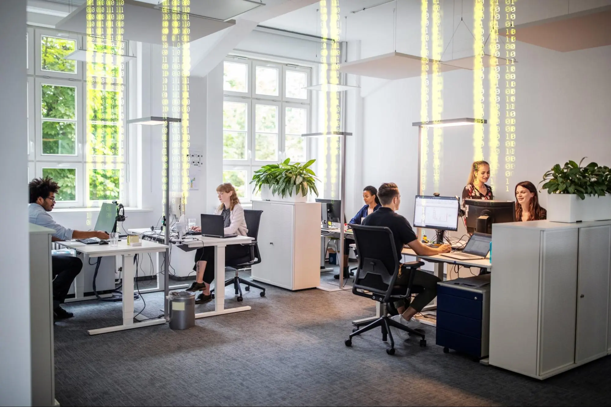 ¿Cuál es la diferencia entre back office y front office?