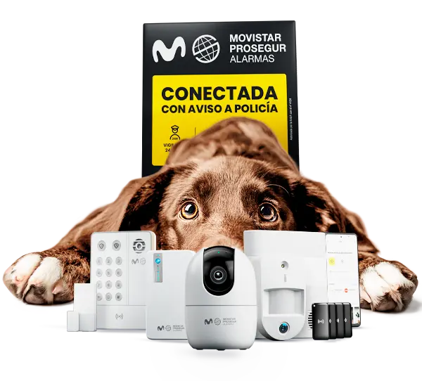 Bodegón de alarma con mascotas Bodegón de alarma con mascotas